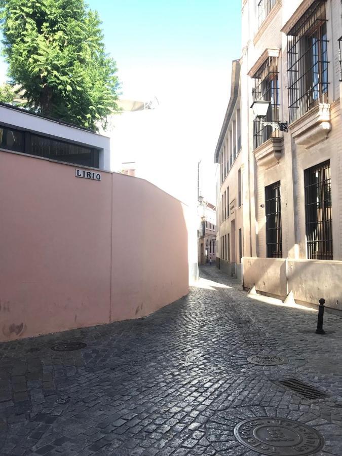 Conde De Ibarra Appartement